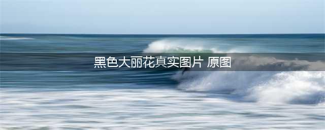 世界悬案之《黑色大丽花》图文详解，胆小慎入(黑色大丽花真实图片 原图)