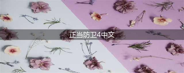 《正当防卫4》怎么设置中文 中文设置方法分享(正当防卫4中文)
