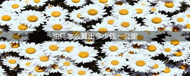 汽车油耗怎么算？多少钱一公里?(油耗怎么算出多少钱一公里)