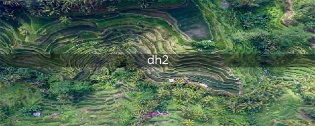 明日方舟DH2怎么过 阵容的合理搭配