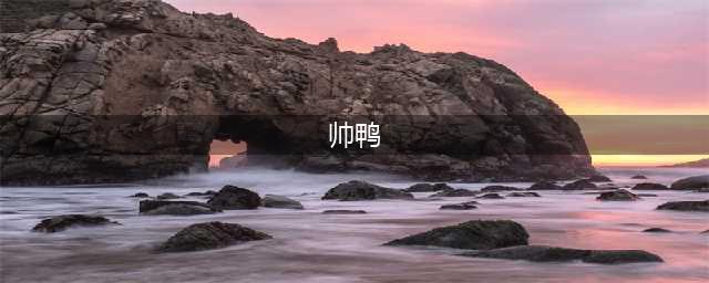 韩国的“帅鸭”如何坑女人的钱？(帅鸭)