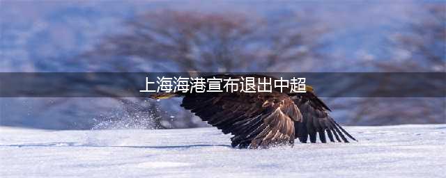再见中超！曝海港集团或撤资告别足球，原因曝光(上海海港宣布退出中超)
