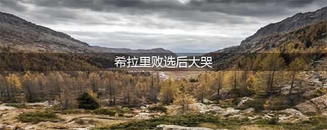 希拉里败选后大哭 希拉里为什么败选？(希拉里败选后大哭)