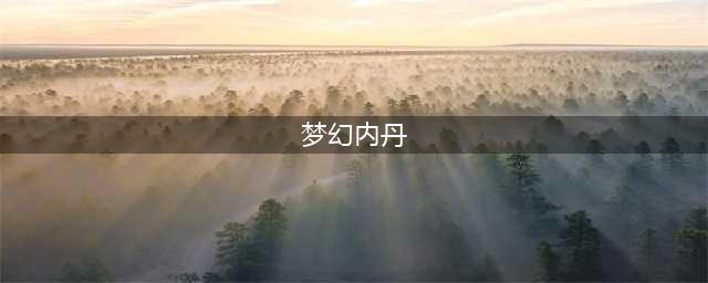《梦幻西游》新增内丹介绍 6颗新内丹作用分析(梦幻内丹)