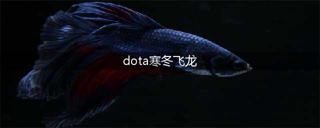 《dota自走棋》寒冬飞龙棋子怎么玩 寒冬飞龙棋子玩法技巧(dota寒冬飞龙)