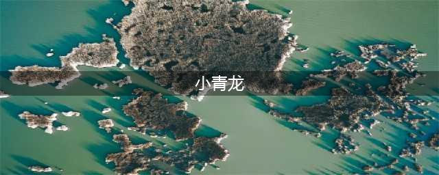 干货 | 波龙、澳龙、花龙、小青龙，全球大龙虾（商捕重要品种）图谱汇总(小青龙)