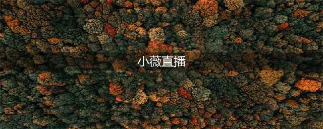 小薇直播TV版最新版官方下载，官网首发更新(小薇直播)