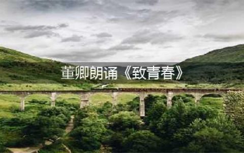 朗读者｜董卿——《青春》(董卿朗诵《致青春》)