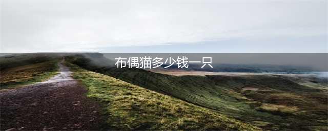 布偶猫哪个色最贵？布偶猫价格大揭秘！(布偶猫多少钱一只)