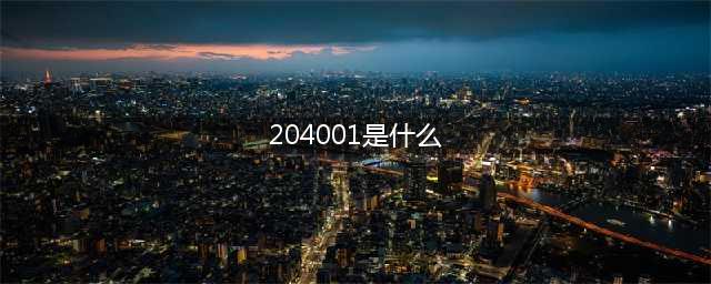 204001是什么股票？要怎么操作？(204001是什么)
