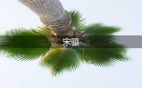 梁小龙妻子宋骧图片 去小20岁娇妻梁小龙宋骧怎么认识的(宋骧)