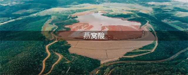 什么是燕窝酸？燕窝酸的功效与作用(燕窝酸)
