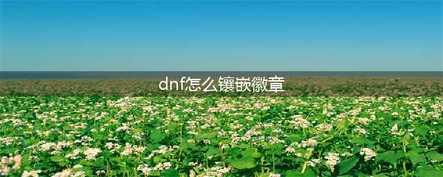 《dnf》光环如何镶嵌徽章 光环镶嵌徽章教程攻略(dnf怎么镶嵌徽章)
