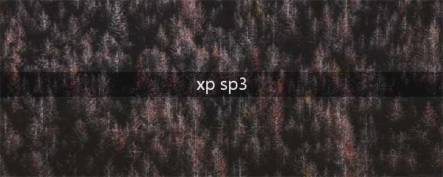 重温经典：Windows XP SP3 CD精简优化版带你穿越时光(xp sp3)