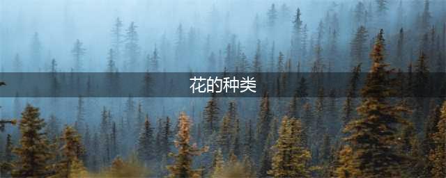 收藏 | 60种常见花卉品种图鉴，看看你认识几种…(花的种类)