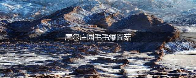《摩尔庄园手游》毛毛爆囧菇食谱解锁与配方材料需求[多图] 毛毛爆囧菇配方怎么解锁(摩尔庄园毛毛爆囧菇)