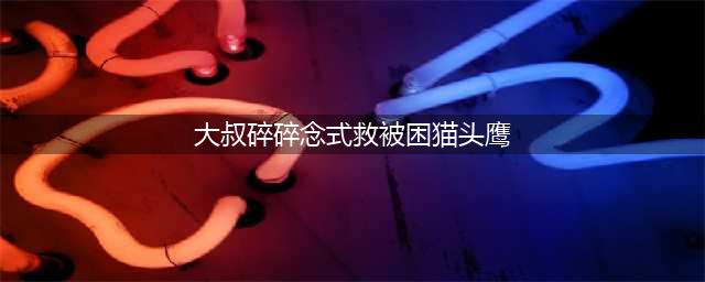 天津大叔碎碎念式救被困猫头鹰，猫头鹰：人是好人，就是话太多了(大叔碎碎念式救被困猫头鹰)