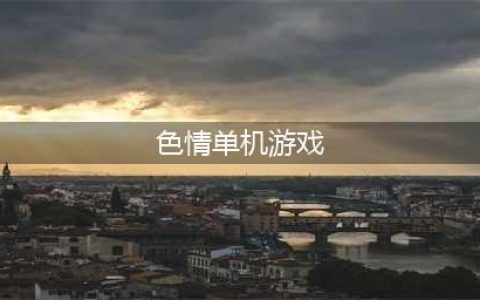 当“小黄油”开始集体上岸(色情单机游戏)