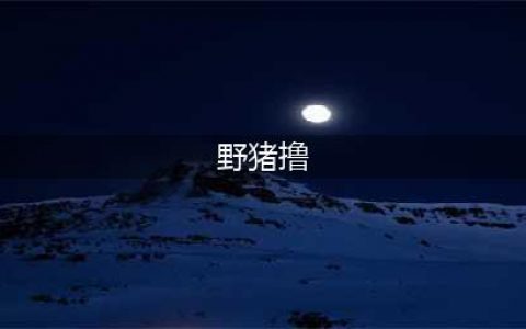偶遇野猪群组团下山，村民近距离淡定“撸猪”(野猪撸)