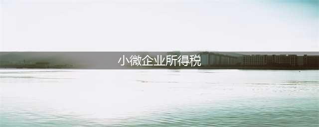 2023年小微企业所得税税率到底是多少？(小微企业所得税)