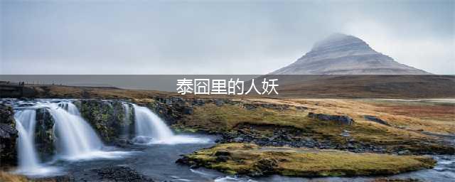 我在电梯里碰到俩2B，还记得在《泰囧》中骂徐峥和王宝强的美女吗(泰囧里的人妖)