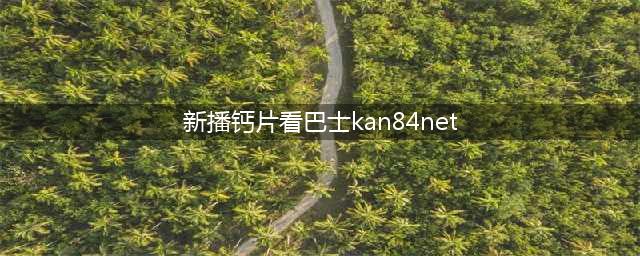 超级骚受 Johnny Rapid 连续三年成为最畅销钙片巨星(新播钙片看巴士kan84net)