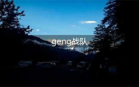 《LOL》2020季中杯GENG战队怎么样 2020季中杯GENG战队介绍(geng战队)