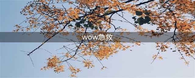 魔兽世界wlk急救怎么冲 80wlk怀旧服急救1-450冲级攻略(wow急救)