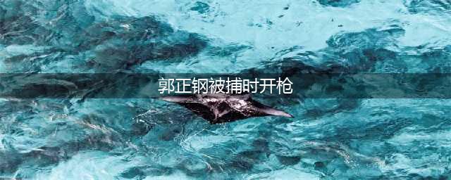 部级老虎被抓现场曝光 40名持枪特警紧急出动(郭正钢被捕时开枪)