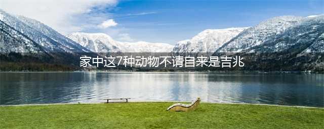 农村这七种动物不请自来家中是好事吉兆，千万不要赶它们走！(家中这7种动物不请自来是吉兆)
