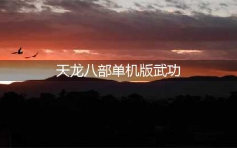 《天龙八部》武功有哪些 武功搭配技巧分享(天龙八部单机版武功)