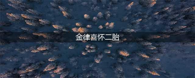 金律喜怀二胎，金律喜预产期是什么时候？(金律喜怀二胎)