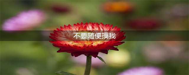 性教育：《不要随便摸我》| 绘本故事(不要随便摸我)