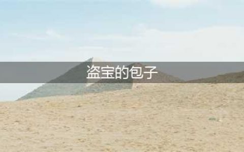 仙剑奇侠传5盗宝的包子怎么打？ 盗宝的包子打法(盗宝的包子)