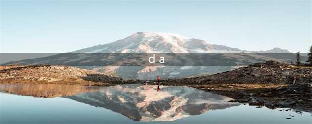 外贸中的D/P和D/A是什么意思？(d a)