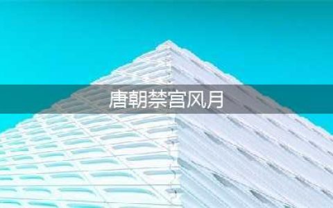 唐朝禁宫中的权谋与凤舞，深探漩涡之谜，惊人内幕！(唐朝禁宫风月)