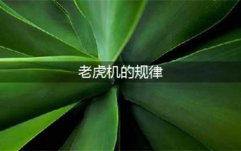 《星露谷物语像素谷》老虎机规律解析攻略