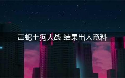 实拍家里的土狗大战毒蛇，狗狗好勇敢，三两下就把毒蛇咬死(毒蛇土狗大战 结果出人意料)