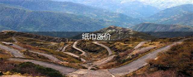 大王制纸宣布2024年4月起生活用纸价格上调超10%(纸巾涨价)