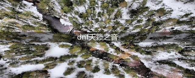 《DNF》9.24奶爸属性介绍 奶爸怎么加点(dnf天籁之音)