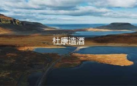 杜康酿酒的故事(杜康造酒)