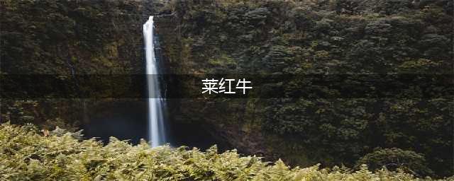 皇马vs莱红牛赛事前瞻分析主队强势晋级，客队需全力以赴(莱红牛)
