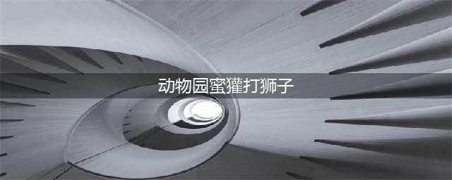平头哥蜜獾大战狮子, 攻其私处反败为胜!(动物园蜜獾打狮子)
