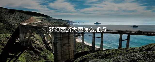 《梦幻西游》大唐怎么加点 大唐加点介绍(梦幻西游大唐怎么加点)