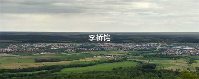 李桥铭上将履新陆军司令员，他曾创下两个记录(李桥铭)