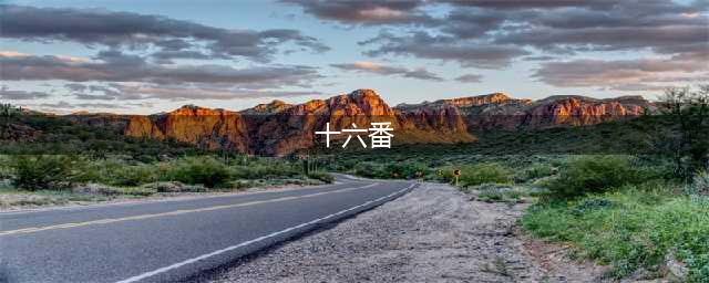 十六番怎么用 十六番使用方法(十六番)