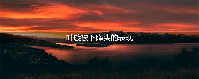“被下降头“的叶璇，出镜带货“漏点“、“下垂”，用擦边博取热度？(叶璇被下降头的表现)
