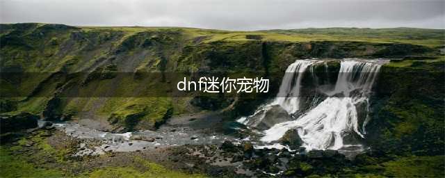 《DNF》迷你学院宠物如何获取 迷你学院宠物获取攻略(dnf迷你宠物)