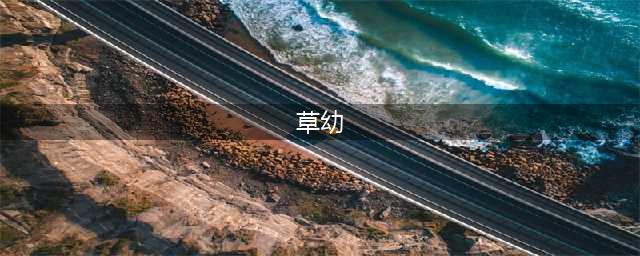 不能不知道的草坪除草原则！(草幼)