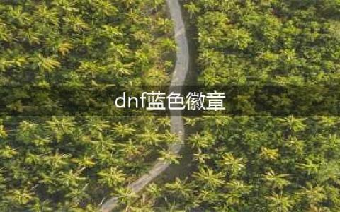 《dnf》蓝色徽章攻略 镶嵌部位分享(dnf蓝色徽章)